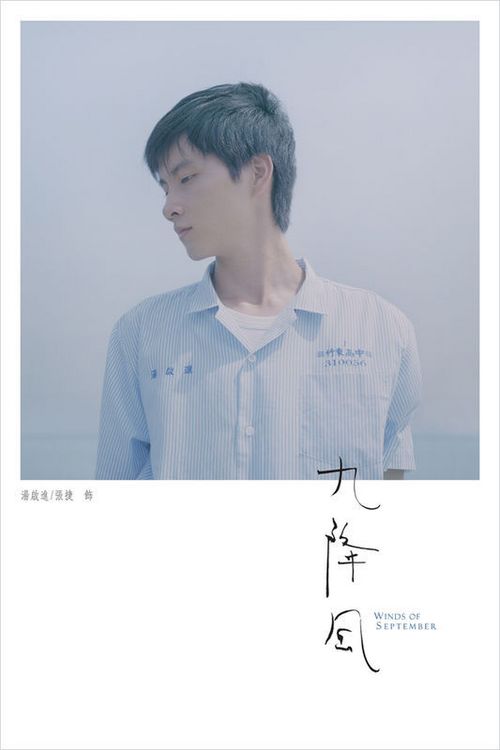 巴拿马驾驶证怎么买到